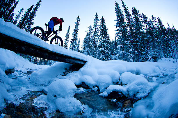 冬の脂肪のサイクリング - rocky mountains canada mountain winter ストックフォトと画像