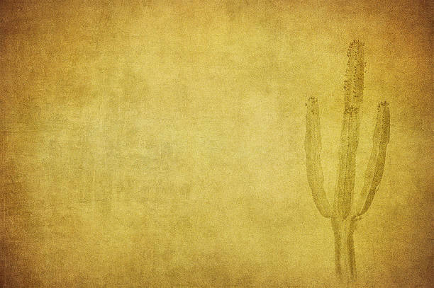 野生の西の風景とグランジの背景 - cholla cactus ストックフォトと画像