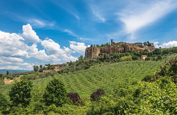 Panoramic view of Orvieto, Umbria, Italy Panoramic view of Orvieto, Umbria, Italy orvieto stock pictures, royalty-free photos & images
