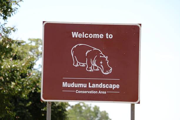 istock Welcome to Mudumu Landscape, Namibia Africa 618198788