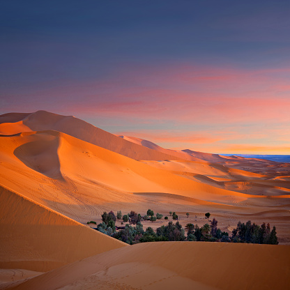 Oasis over sand dunes in Sahara desert at sunset in Erg Chebbi in Morocco, North Africa