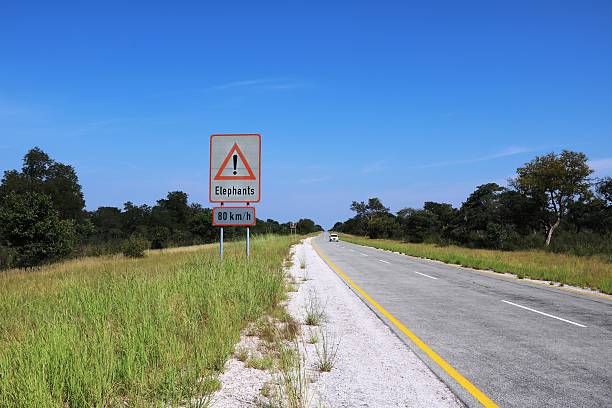 Traffic sign in Botswana, Africa Caution Elephants! - Top speed 80 km / h