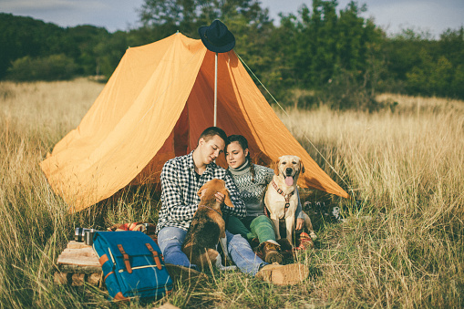 Couple relaxing with their dogs in nature
