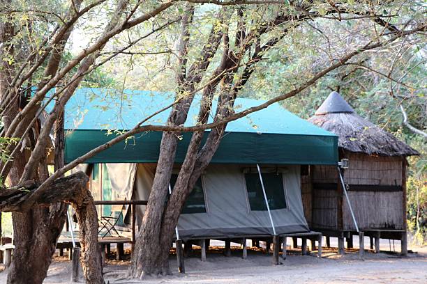 istock Luxury Tent in Africa 618201320