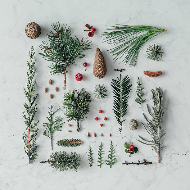 istock Creative natural layout made of winter things on marble backgrou 618203492