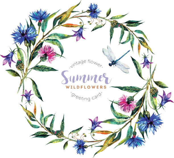 ilustrações de stock, clip art, desenhos animados e ícones de watercolor wreath made of wildflowers. - campanula white flower single flower