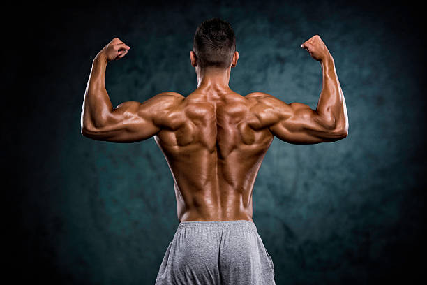 強い筋肉背の背 - back rear view men muscular build ストックフォトと画像