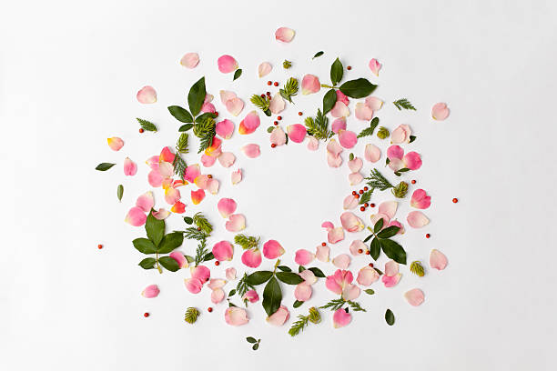 Floral round frame with rose petals and leaves on white