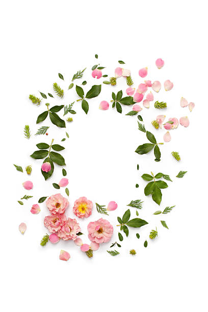 istock Flat nature floral round frame on white background, top view. 618211528