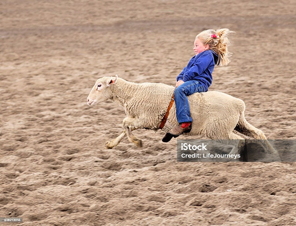 Enthusiastic Mutton Bustin Rodeoing Little Girl Little girl riding a sheep at a rodeo.  She seems totally happy and excited during the process.  With a big grin and big wide eyes she holds on tight so she doesn't fall off. Sheep Stock Photo