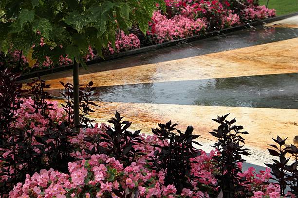 istock switzerland - montreux, fountain 618215830