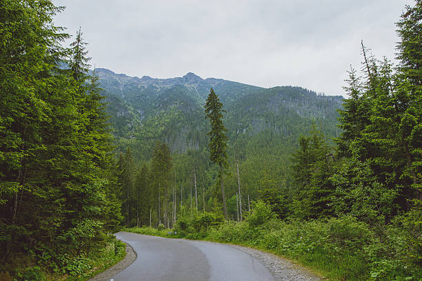 istock asphalt road in mountain 618218796