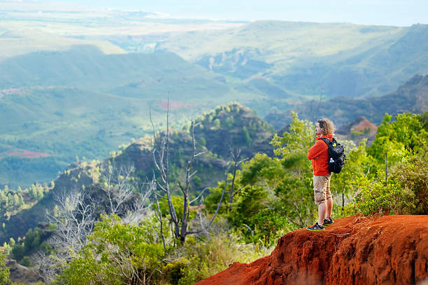 istock Man enjoying stunning view into Waimea Canyon 618219344