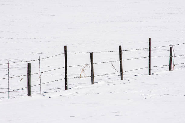 istock Fence in a Field of Snow 618220988