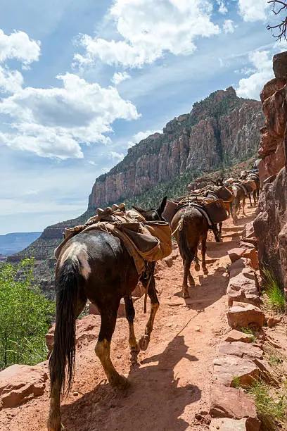 Grand Canyon (AZ, USA) is up to 18 miles wide and 277 miles long