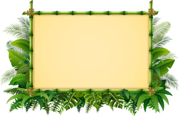 тропический цветочный дизайн фон с зеленой бамбуковой рамой - flower backgrounds single flower copy space stock illustrations