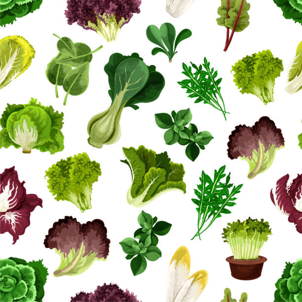 ilustrações de stock, clip art, desenhos animados e ícones de salad greens and leafy vegetables pattern - acelgas