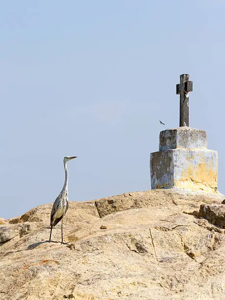 The christian cross and heron (egret) bird on the small rock islands in Kerala backwaters, southern India.