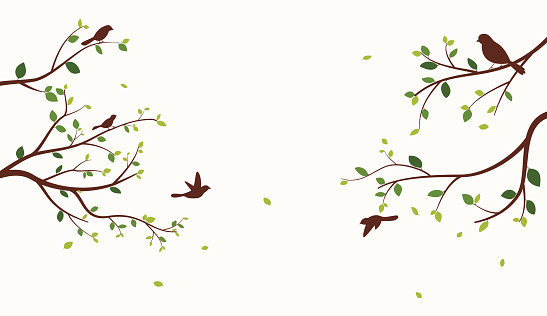 Vector Illustration of Beautiful tree with birds on white background