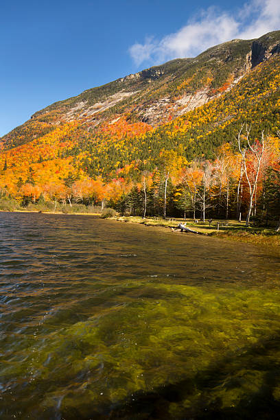 istock Brilliant fall foliage at Saco Lake in the White Mountains. 618225132