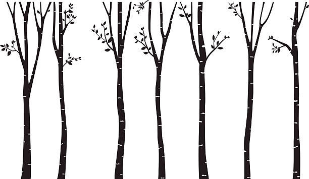 ilustraciones, imágenes clip art, dibujos animados e iconos de stock de fondo de silueta del árbol del abedul - rama parte de planta