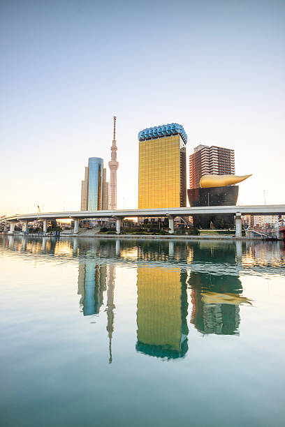 istock Tokyo skyline on the Sumida River 618317564