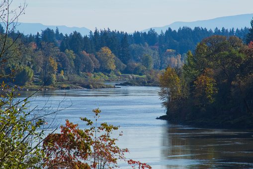 Willamette River, with Fall Colors