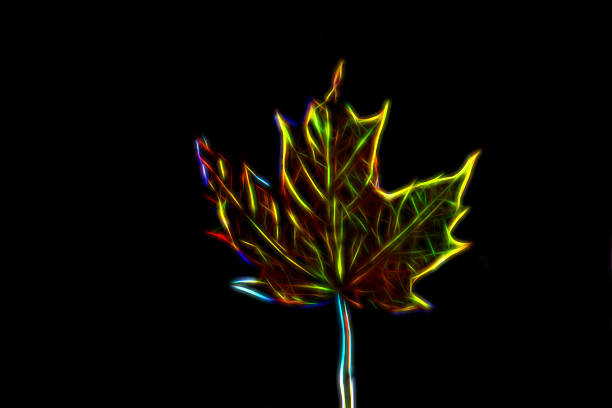 istock Digital art, glowing rainbow neon color paint, maple leaf 618318020