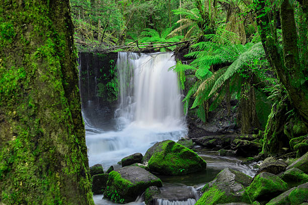 istock Horseshoe Falls in Mount Field National Park. 618320122