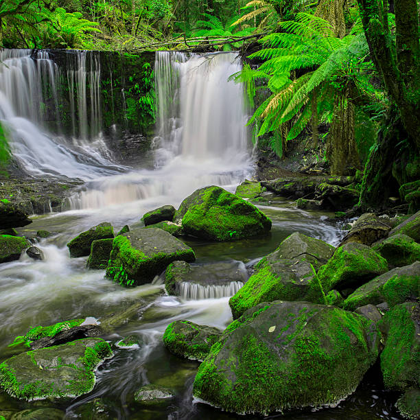 istock Horseshoe Falls in Mount Field National Park. 618320328