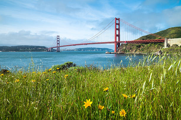 puente golden gate en san francisco - gold gate bridge san francisco county fotografías e imágenes de stock