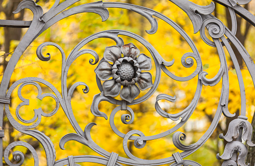 Floral ornament of fence of the Mikhailovsky Park on a background of autumn leaves, St. Petersburg, Russia