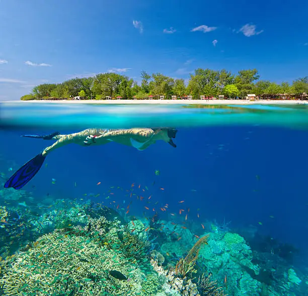 Young woman swimming over coral reef in the sea on a background of a tropical beach island Meno. Indonesia