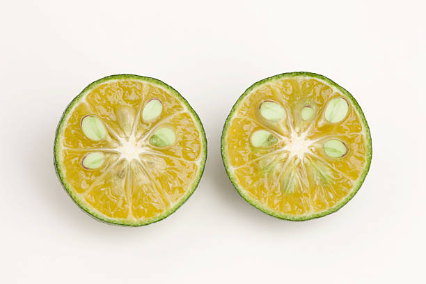 istock Cross section of Citrus depressa 618326400