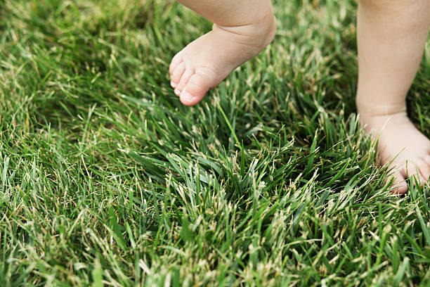 istock Baby standing barefoot on the grass 618327102