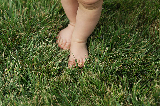 istock Baby standing barefoot on the green lawn 618327212