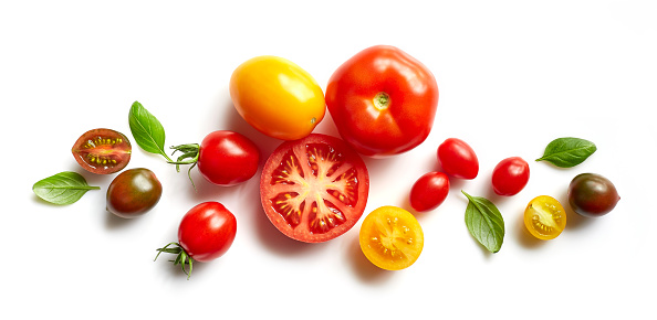 various colorful tomatoes and basil leaves isolated on white background