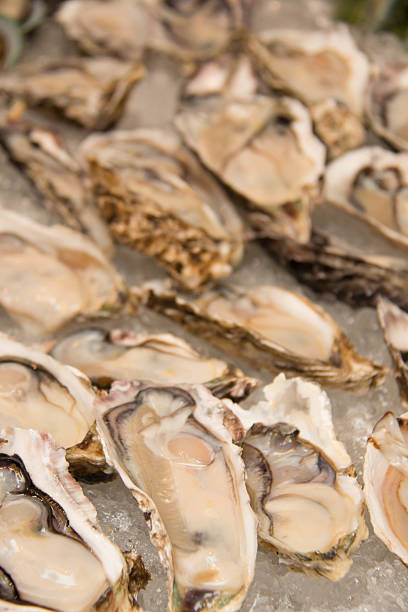 istock Macro image of an Oyster on ice 618328560