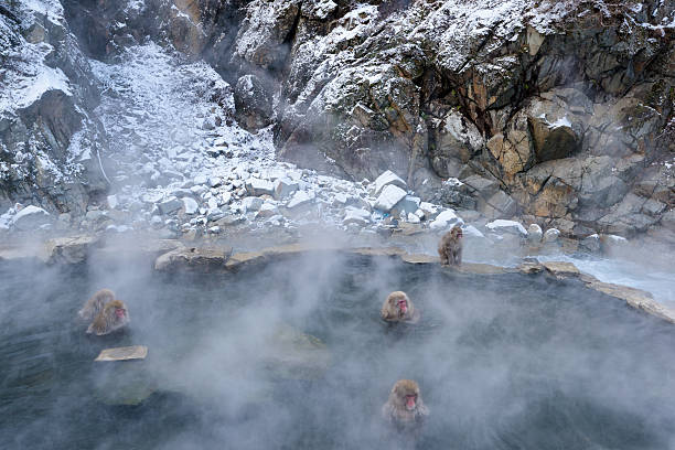 istock Jigokudani Snow Monkey Park, Kanbayashi Onsen 618332172