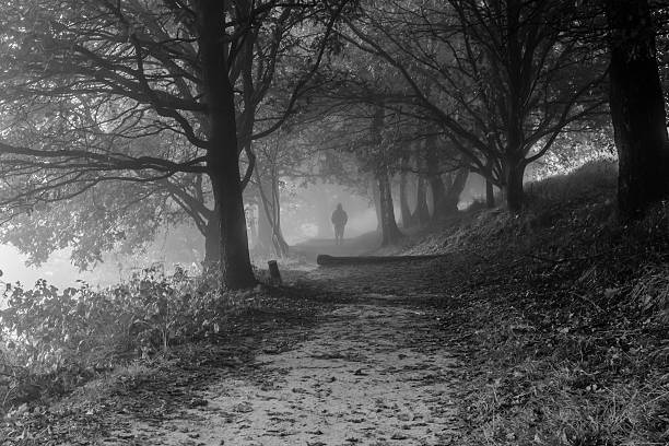 istock Mysterious silhouette in a foggy forest 618338162