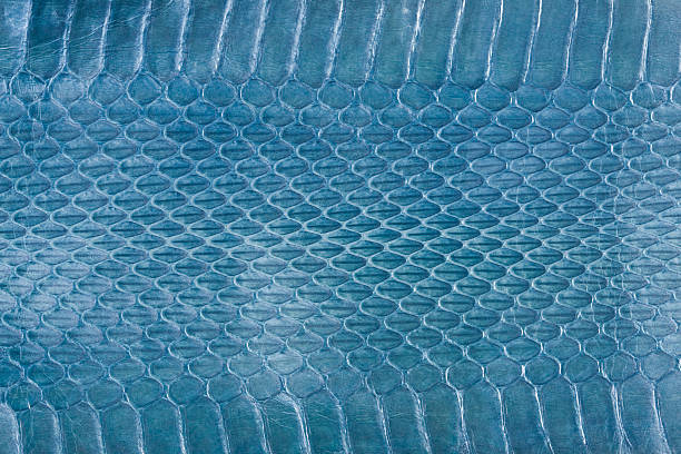 istock Close up of Snake leather 618338414