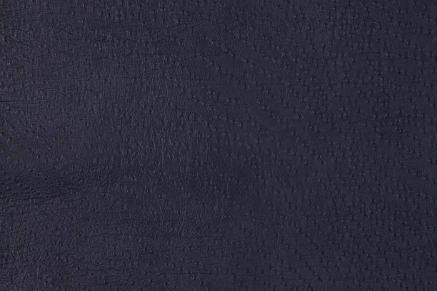 istock Close up of Shark leather 618339804
