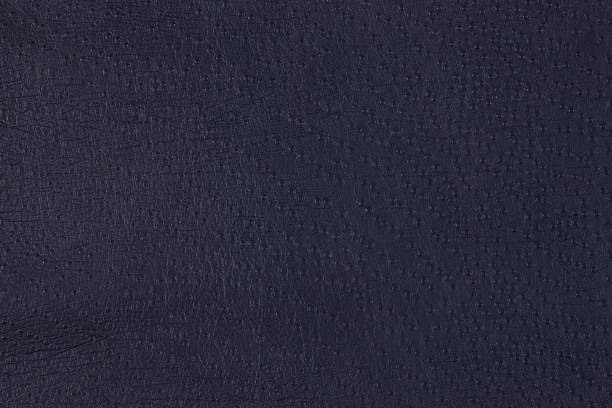 istock Close up of Shark leather 618339888
