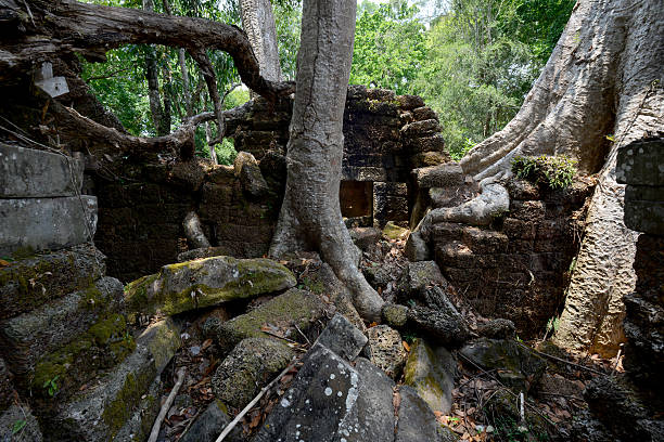 istock ASIA CAMBODIA ANGKOR TA PROHM 618340550