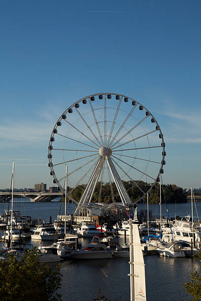 istock Ferris wheel at National Harbor 618342166