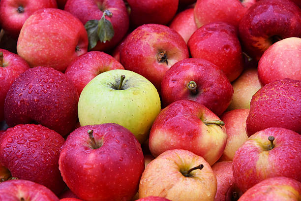 istock Fresh organic apples on street market stall 618344524