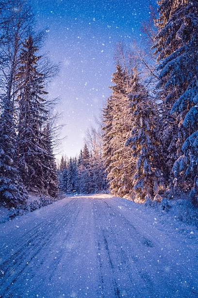 istock beautiful winter landscape: snowy forest on sunny day 618349100
