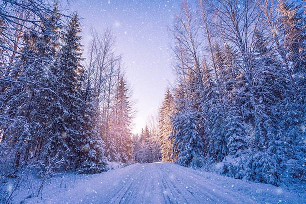 istock beautiful winter landscape: snowy forest on sunny day 618349272