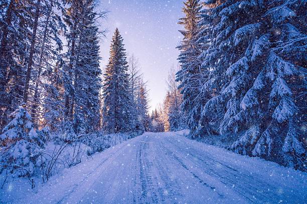 istock beautiful winter landscape: snowy forest on sunny day 618349584