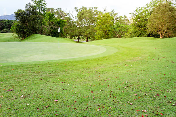 istock Beautiful Green grass on a golf field. 618353690